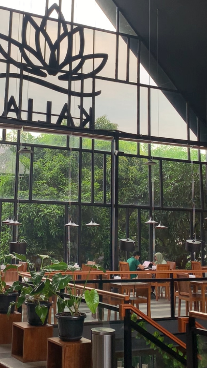 Mii Vlog