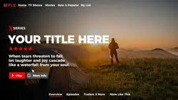 Netflix template
