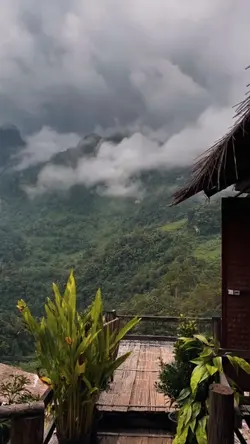 MATUR NUWUN PUN TANS