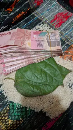 kacang buncis