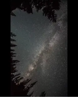 Buonanotte 