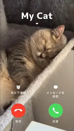 うちの子から着信中