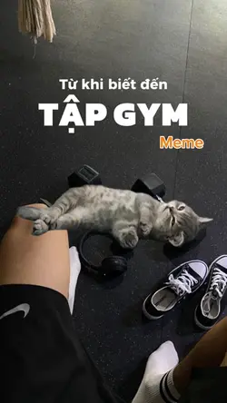 Từ khi biết đến tập