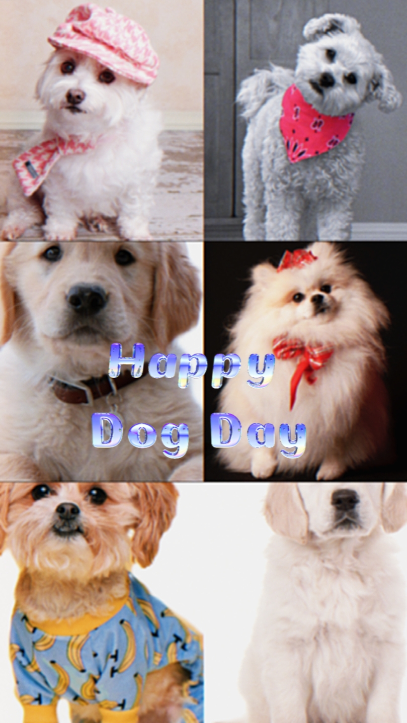Feliz Día del Perro