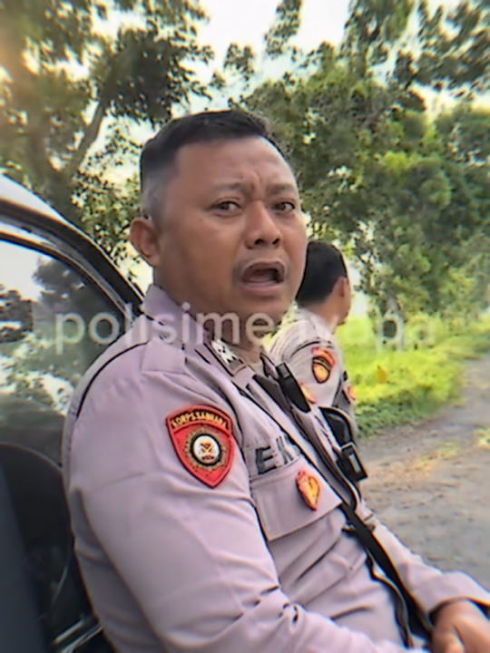TENDANCE 