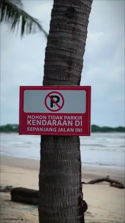 Cinematic kece