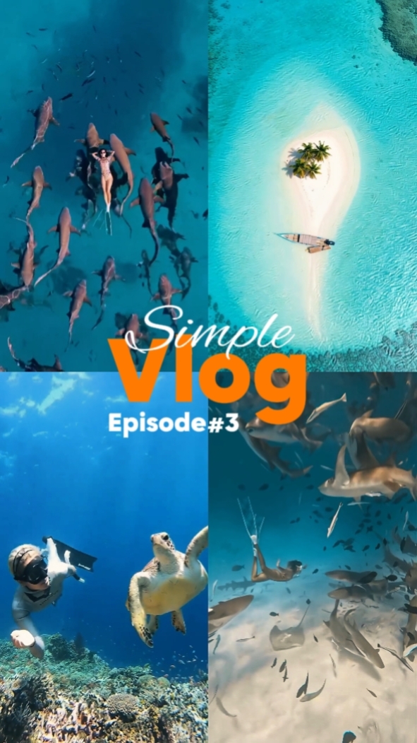 Sommerrahmen Vlog 