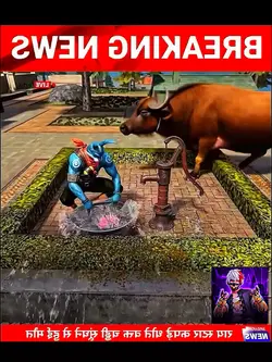 FF