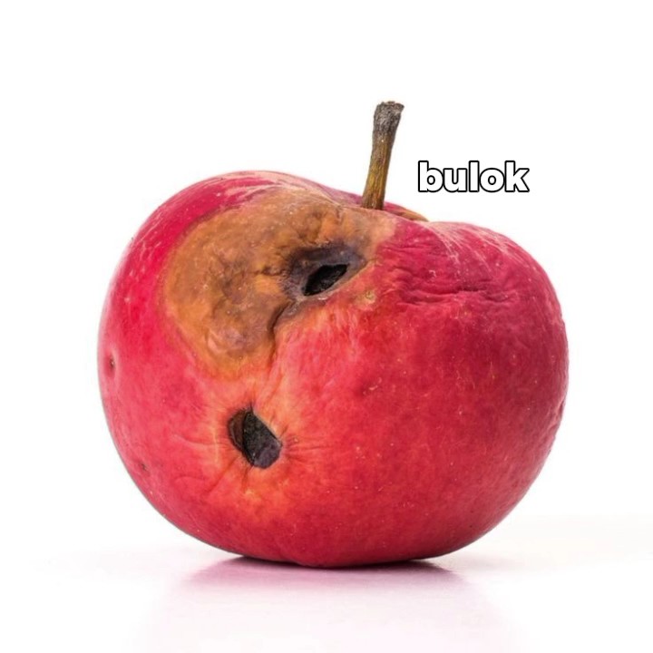 bulok or BULOK