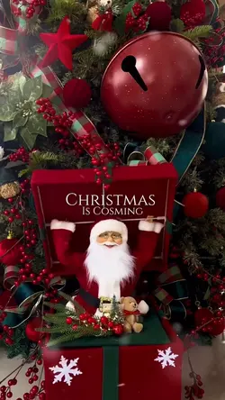 Christmas Id Cosming