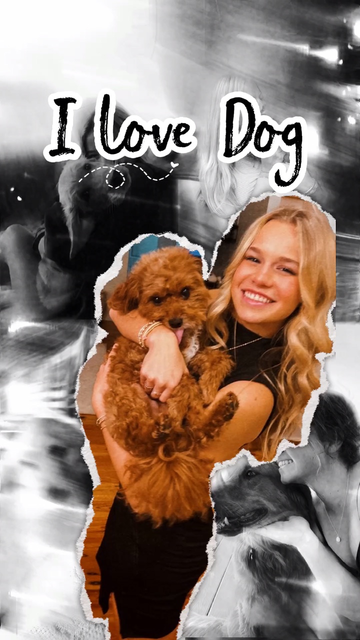 Ich liebe Hund 🐶 