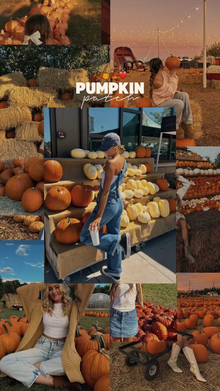 Parche de calabaza 🎃