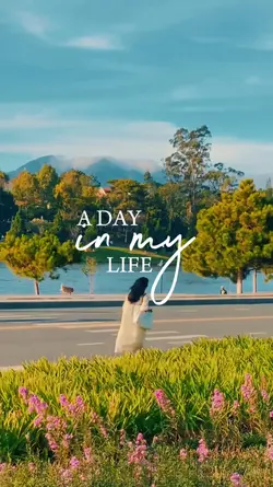 a day in my life 