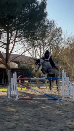 jump slowmotion