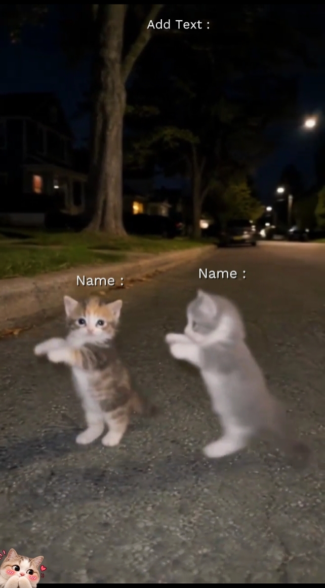 Dance Cat Trend 