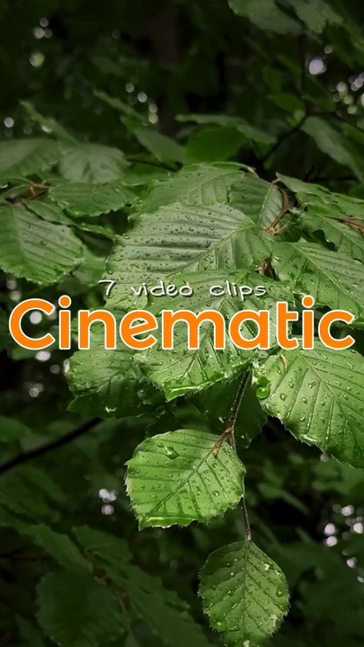 Cineamtic 7 video |