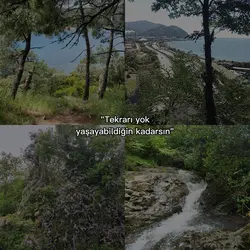 Bahar 
