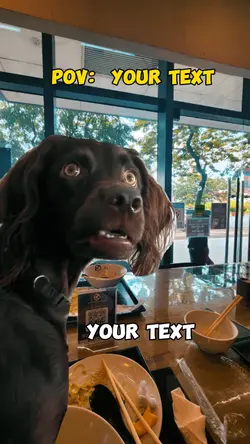 Worried and Confused