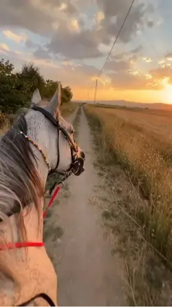 Slowmotion
