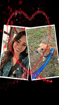@pet 