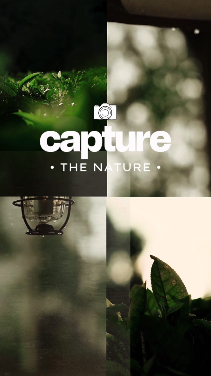 capturer la nature