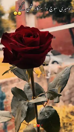 حسن دا بادشاہ👑😍