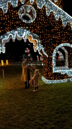 Christmas lights 🎄🎅🏼