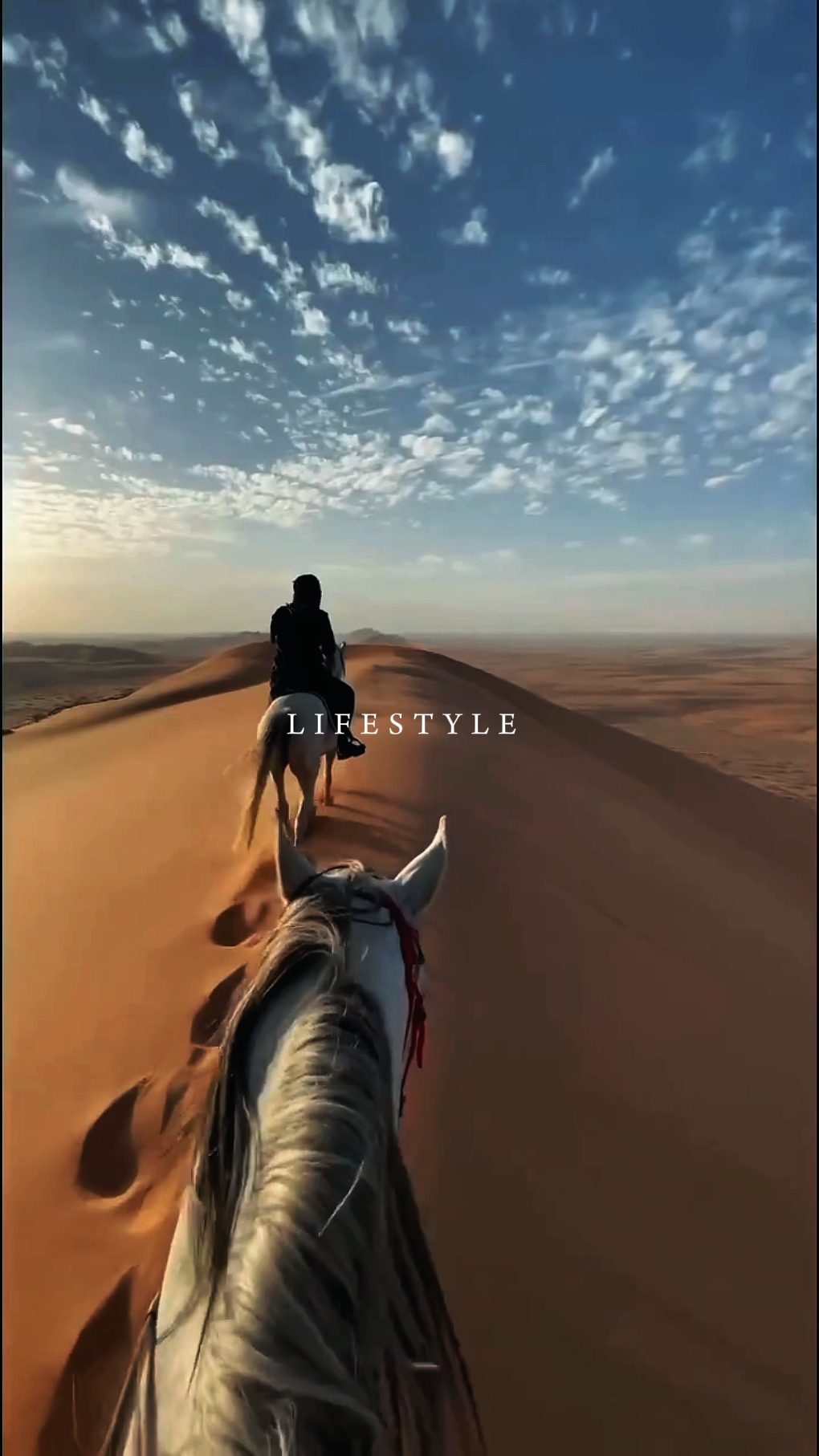 Travel Lifestyle 