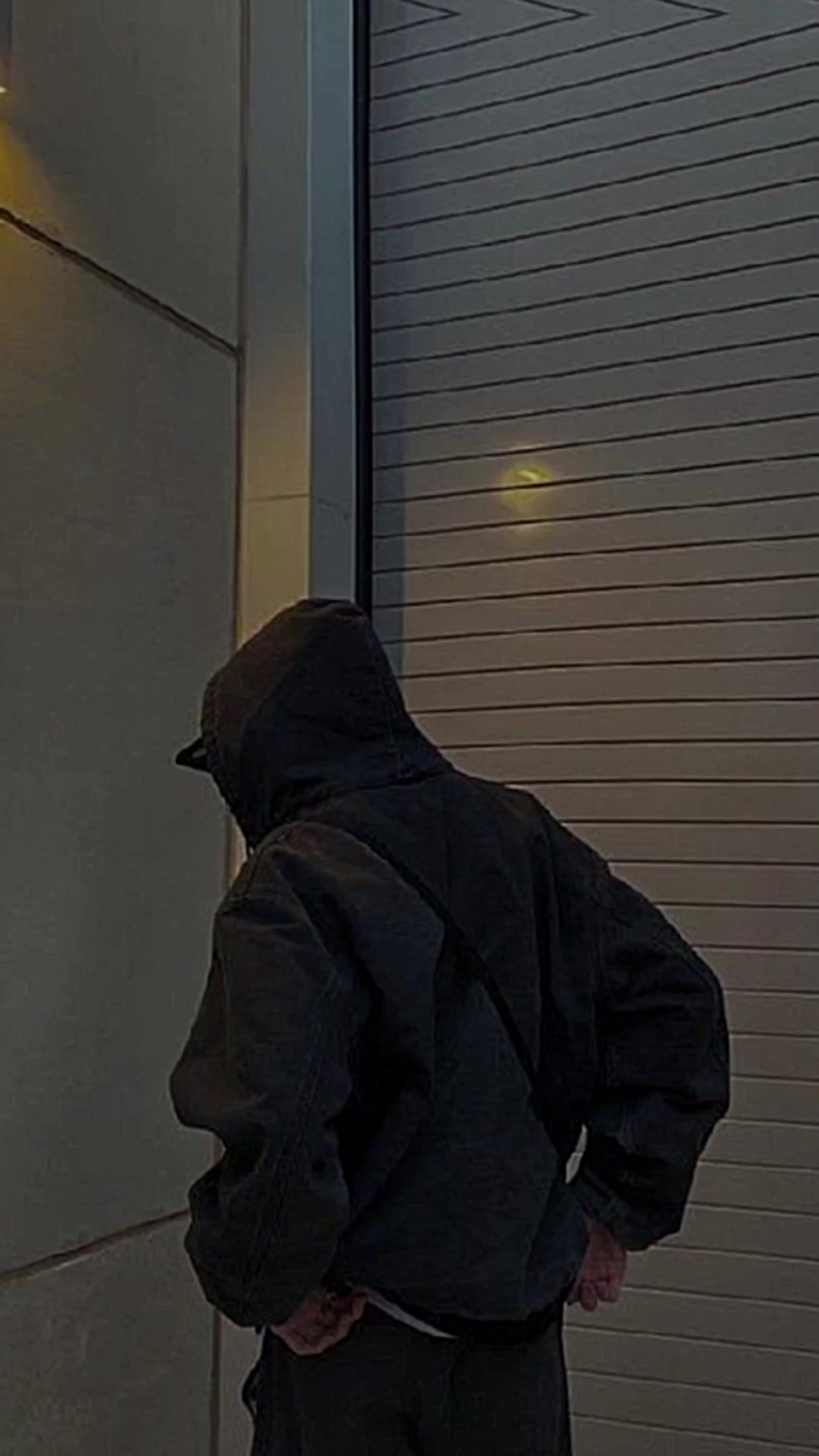 قالب تركي جربوه 