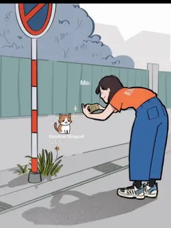 random pap stray cat
