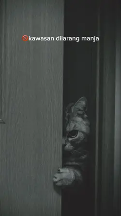 kawasan dilarang