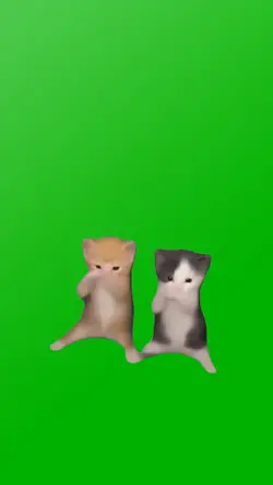 FUNNY KITTIES