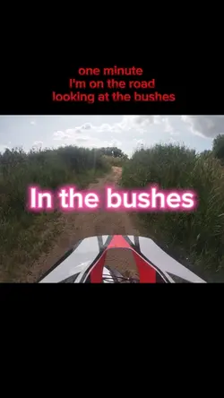 In the bushes