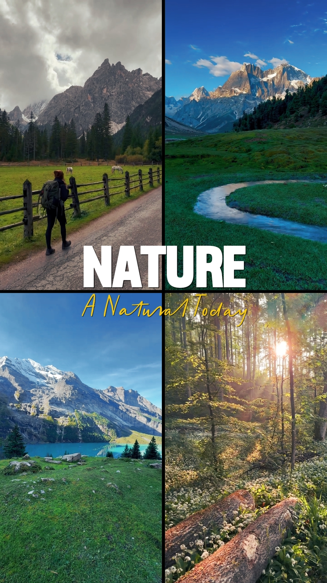 NATURE