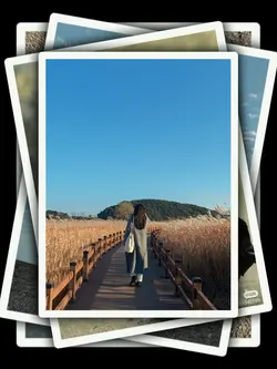 9Pic Frame Aesthetic