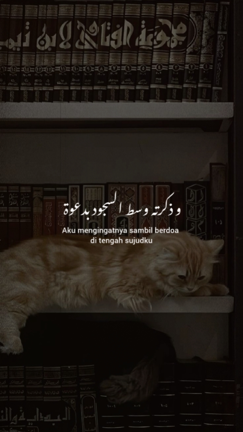 syair arabic