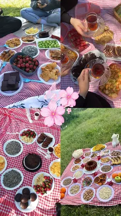 yeni Şablon 