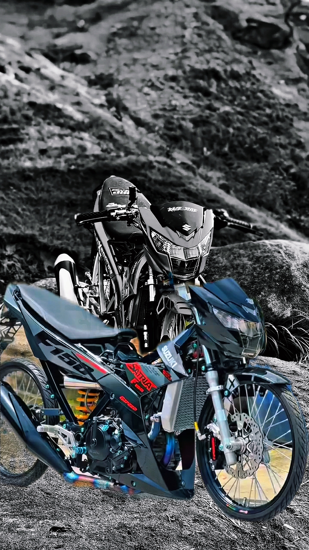 Cover Picture