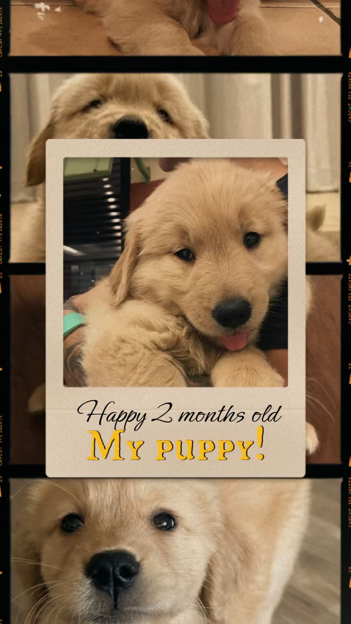 Happy 2 months old 
