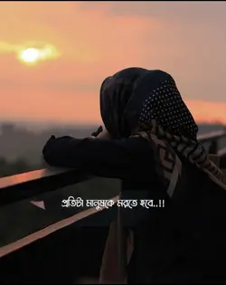 ইসলামিক ভিডিও 