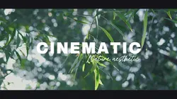 Cinematic Nature Aes