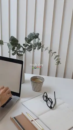 study vlog