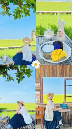 Mẫu 4 ảnh