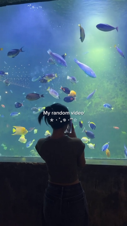 Ma vidéo aléatoire