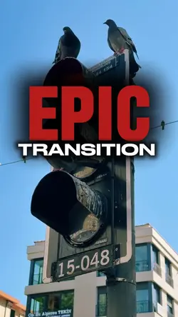 EPIC TRANSITION 