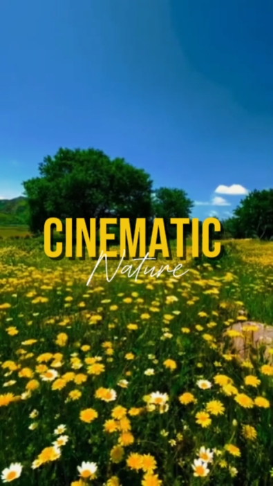 Cinematic 
