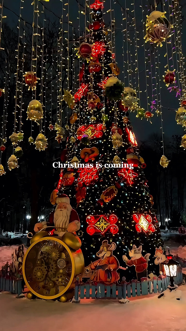 Christmas is coming❤️