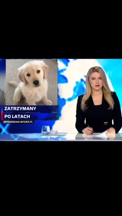 Wiadomości 