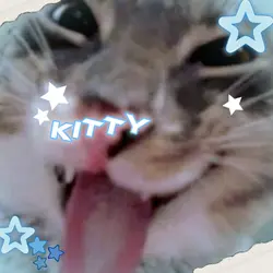 Kitty cat