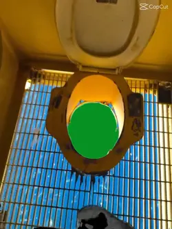 Greenscreen WC